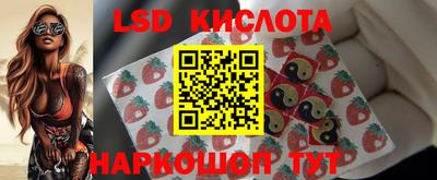 гидропоника Тверь