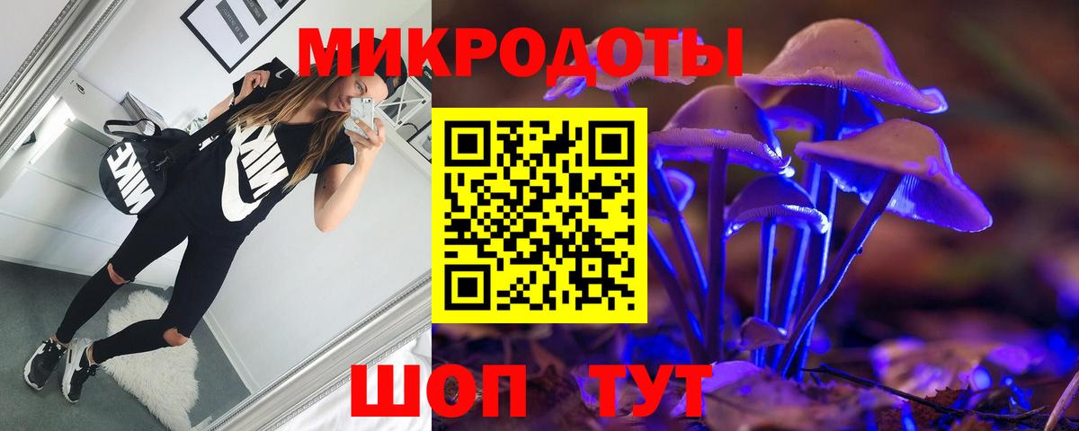 Псилоцибиновые грибы прущие грибы Узловая