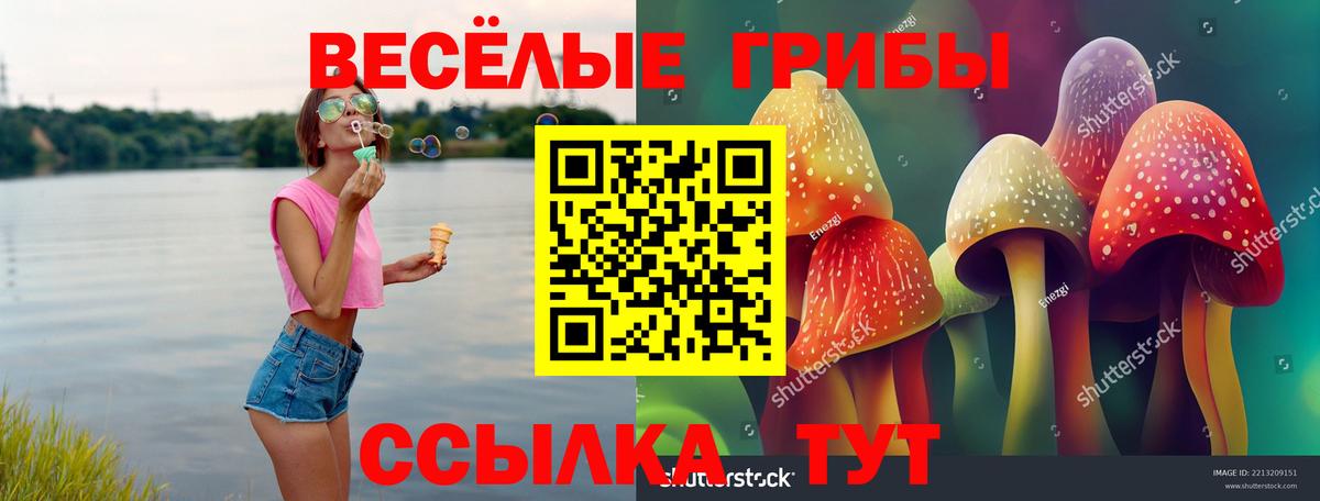 Узловая  Галлюциногенные грибы прущие грибы  Вход с VPN  Псилоцибиновые грибы MAGIC MUSHROOMS 